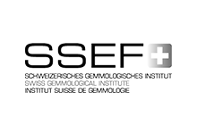 Laboratorio SSEF